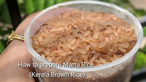 How To Make Red Rice Kerela Red Rice Matta Rice Rosematta Rice