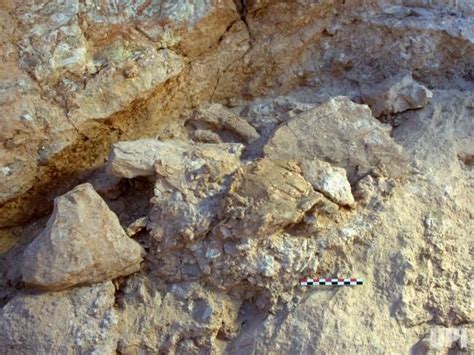 Two Of The New Jebel Irhoud Morocco Fossils In Situ As They Were