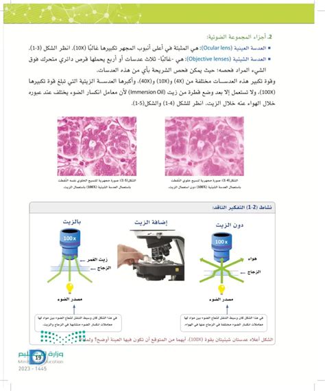 أجزاء المجموعة الضوئية العدسة العينية Ocular Lens عين 2024 علم