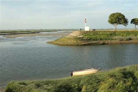 Baie De Somme Que Faire Voir Les Phoques Visiter Ville Train