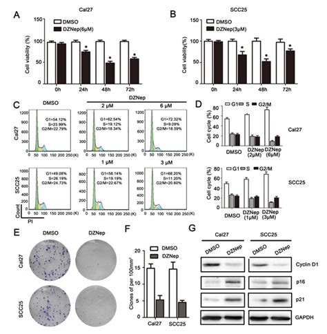 Targeting Ezh2 Regulates Tumor Growth And Apoptosis Through Modulating