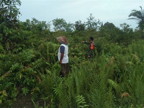 Giat Pelaksanaan Pencegahan Karhutla Oleh Kopda Andri Waluyo