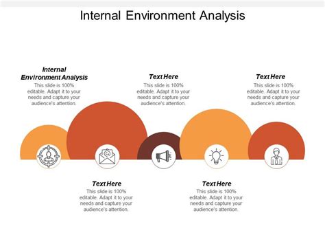 Internal Environment