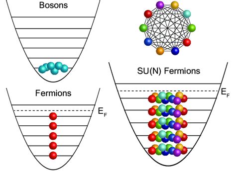 Degenerate Bosons Fermions And Sun Fermions Unlike Bosons Which