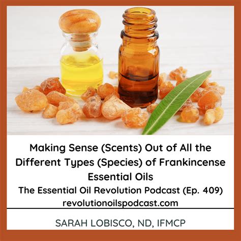 Making Sense Scents Out Of All The Different Types Species Of