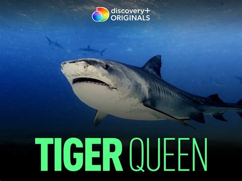 Watch Tiger Queen - Season 1 | Prime Video