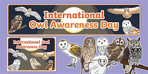 International Owl Awareness Day Display Pack Twinkl