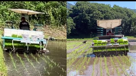 Rice Transplanter 6 And 8 Rows Planting Machine By Nagano Rice