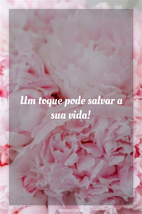 Frases Para O Outubro Rosa Um Toque Pode Salvar A Sua Vida