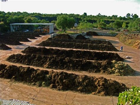 La verde está muy buena Composta aquí composta allá composta en la