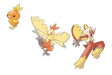 Pokemon Torchic Evolution