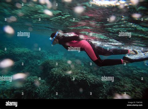 Young woman snorkeling in Ishigaki, Okinawa Prefecture, Japan Stock ...