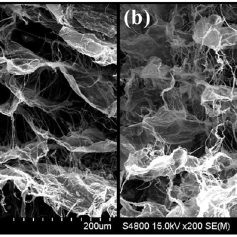 A SEM Images Of COL And CM Scaffolds 200 Magnification Scale Bar