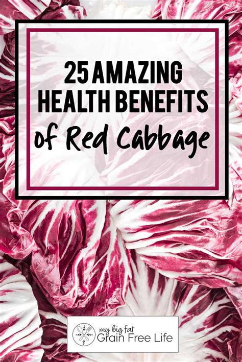 Amazing Health Benefits Of Red Cabbage