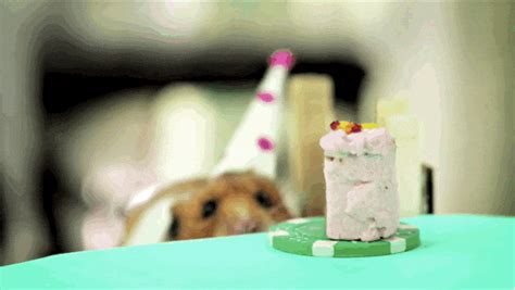 dogs singing happy birthday gif - Armandina Costa