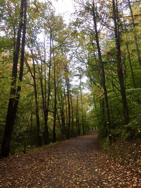 Shenandoah National Park Guided Hiking Tour | Timberline Adventures