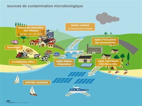 Les germes microbiens Pêche à Pied Responsable