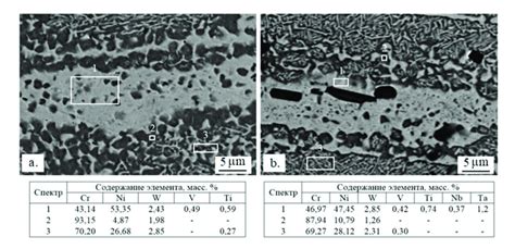 Typical microstructure of alloy I (a) and alloy II (b) after hot ...