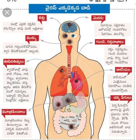Naveen Nadiminti - #ఊపిరితిత్తులకు_ఇన్‌ఫెక్ష‌న్_సోకినట్లు_ఎలా ...