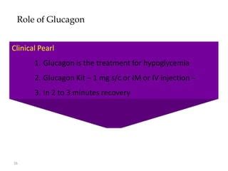 Glucagon and its metabolic effects | PPT