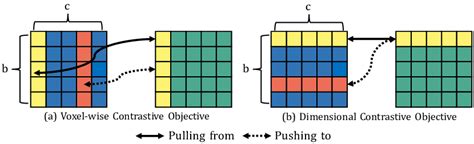 Comparison Of A Voxel Wise Contrastive Objective I E Batch