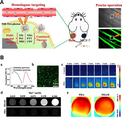 A Schematic Diagram Of Pda Andpdam B Imaging Properties Of Pda And Pdam