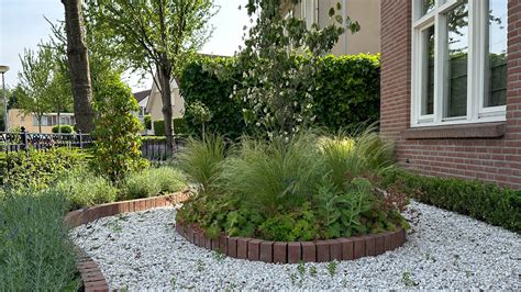 7 ways to prevent weeds from invading your yard