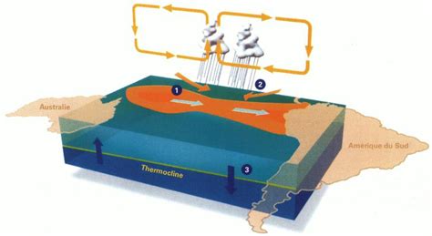 Oc An Et Climat Chapitre L Interaction Des Oc Ans Tropicaux Avec L