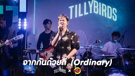 Tilly Birds Live Rinma Youtube