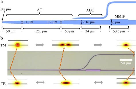 Fig S2 The Schematic Of The Polarization Splitter And Rotator A The