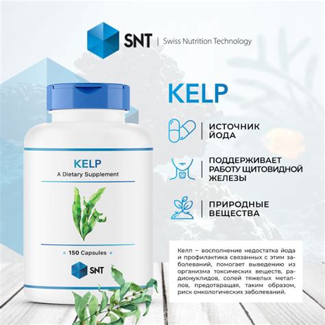 SNT Kelp 300 mcg / СНТ Водоросли / Йод 300 мкг (150 капс) - купить с ...