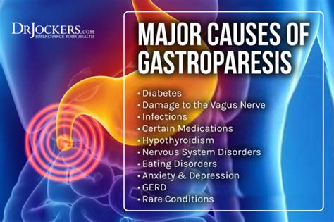 Gastroparesis Symptoms Causes And Natural Support Strategies