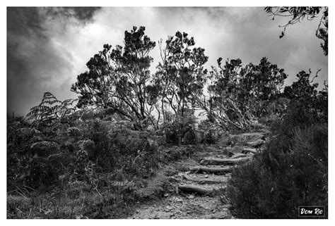 Plaine des Tamarins Cirque de Mafate Ile de la Réunion Flickr