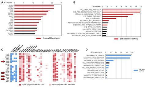 Integrated Analysis of TP53 Gene and Pathway Alterations in The Cancer ... 