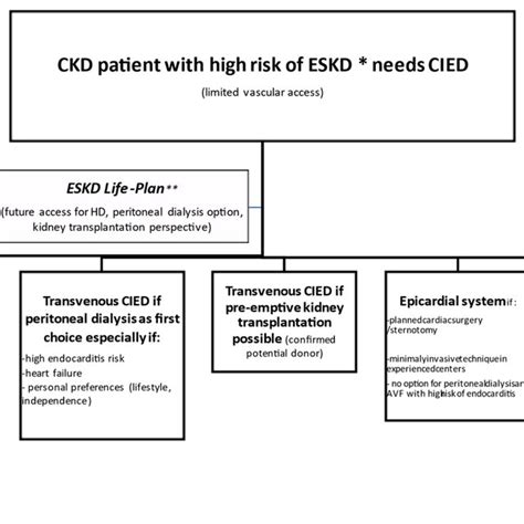 Decision Making On Vascular Access In An Eskd Patient With Cied