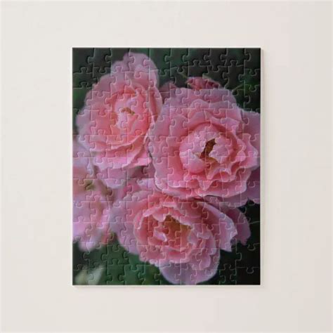 Beautiful Pink Roses Jigsaw Puzzle Zazzle