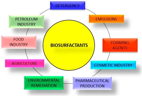 Biosurfactants As Multifunctional Remediation Agents Of Environmental