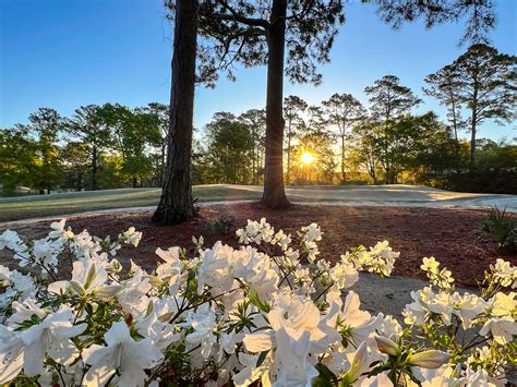 average temp myrtle beach in march 5