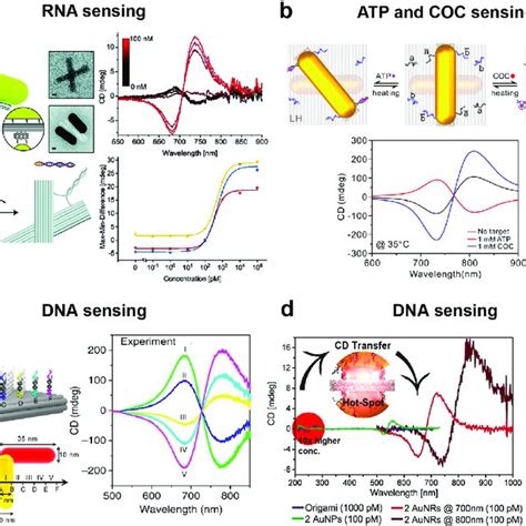 Dna Origami Enabled Chiral Plasmonic Sensing Systems Dna Origami Based