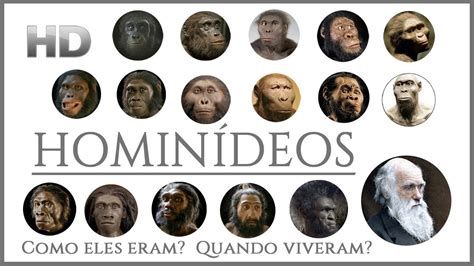 Hominini Tamanho - HOMINÍDEOS - Reconstruções Faciais, Fósseis, Idade e Tamanho Comparado ...
