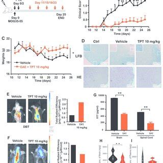 Deepdtnet Predicted Topotecan Tpt Reverses Experimental Autoimmune