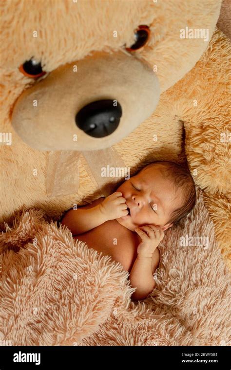 Two Week Old Newborn Baby Sleeping On Teddy Bear Stock Photo Alamy