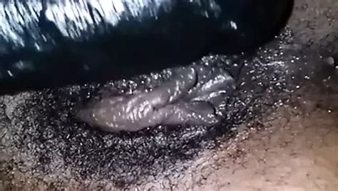 Cleveland Porn Videos XHamster