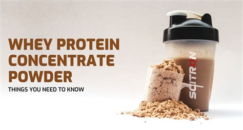 Whey Protein Concentrate Powder: Things that Need to Know & Scitron