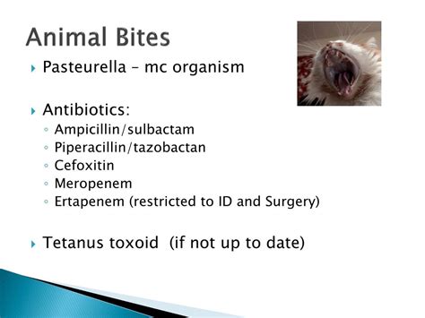 Ppt Inpatient Skin And Soft Tissue Infections Powerpoint Presentation