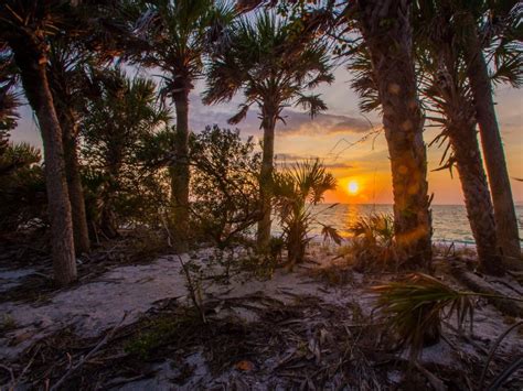 Top 14 Beach Camping Spots in Florida (2023 Guide) – Trips To Discover