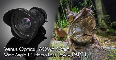 Laowa 15mm f/4 1:1 Wide Angle Macro with Shift - MacroDojo