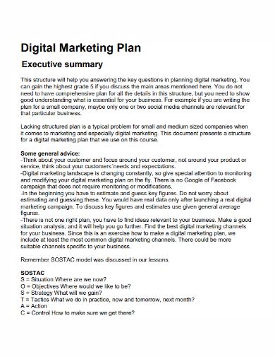 Free Digital Marketing Executive Summary Samples In Pdf Doc