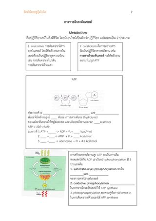 สรประบบการยอยอาหารและการหายใจระดบเซลล PDF