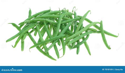 Green bean stock image. Image of pile, focus, group, nutrition - 7018109